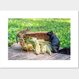 Chipmunk and squirrel share a basket of corn Posters and Art